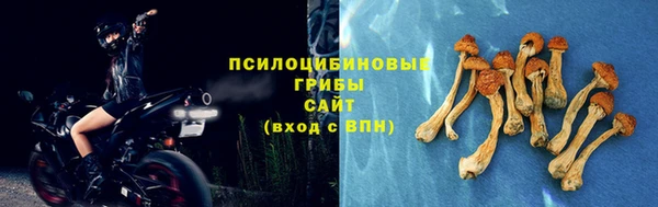 соль ск Горняк