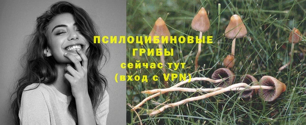 jwh Горно-Алтайск