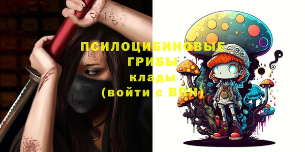 соль ск Горняк